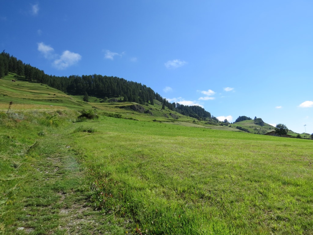 wieder sind wir im Aufstieg, um die Via Engiadina fortzusetzen