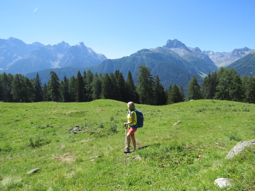 bei der fantastischen Lichtung von Plan Chamuera, blicken wir auf die ganze Pracht der "Engadiner Dolomiten"