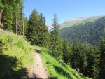 durch Lärchenwälder und Weiden führt uns eine lange Diagonale...