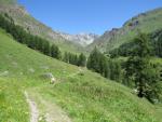 mit geringem Höhengewinn wandern wir über die Alp Tasna zur Alp Valmala