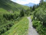 dem Hang entlang durch üppige Vegetation steigen wir dem Bach entlang abwärts