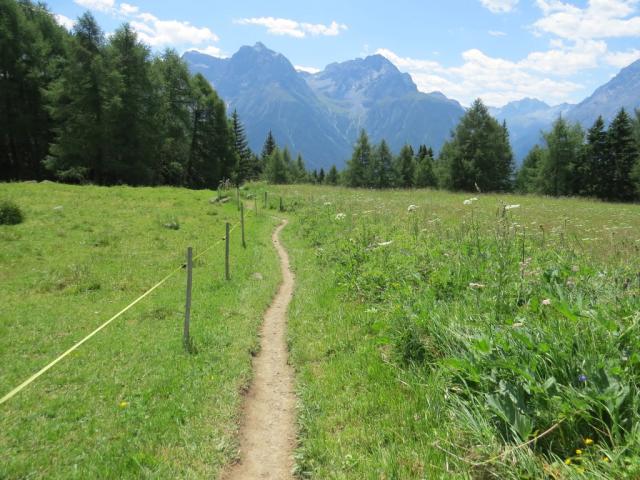 während dem wandern blicken wir auf Piz Lischana und Piz Madlain