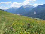 der Wanderweg führt nun einige sehr grosse Kehren über Blumenwiesen