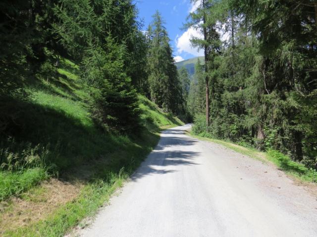 auf der Strasse geht es nun ein bisschen eintönig alles hinein in das Val Sinestra