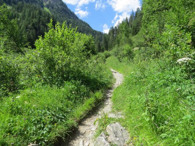 auf der anderen Talseite führt uns der Wanderweg wieder aufwärts