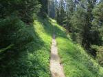 schön ruhig und jetzt problemlos, führt der Wanderweg nun durch einen lichten Wald