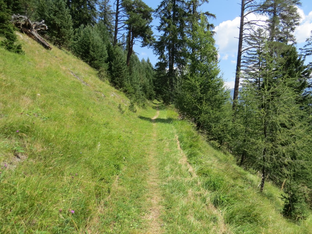 auch die letzte Etappe der Via Engiadina traumhaft schön