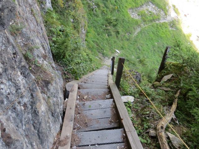 steil und über Holztreppen führt der Weg in die Bachrunse