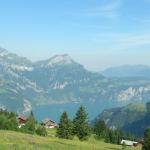 Urnersee mit Oberbauen- und Niederbauenstock