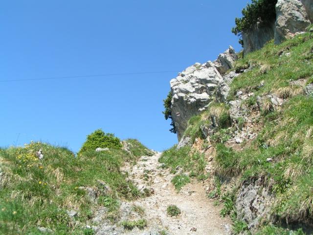 ein schöner Bergweg