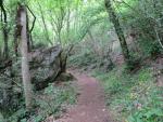 der schöne Waldweg steigt nun leicht aufwärts Richtung Monte Gentile