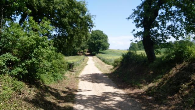 der schöne Weg führt uns nun zum Ausgang des Naturpark