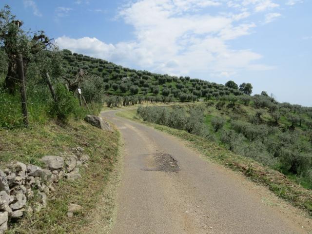 der Wanderweg schlängelt sich durch die Hügellandschaft Richtung Cori