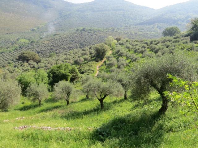 ...wandern wir durch eine sehr schöne Landschaft