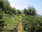 wir wandern am Südabhang der Monti Lepini entlang, weiter Richtung Sezze