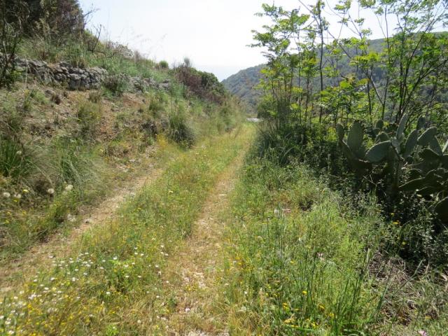 ...führt uns die Via Francigena in die Ebene hinunter