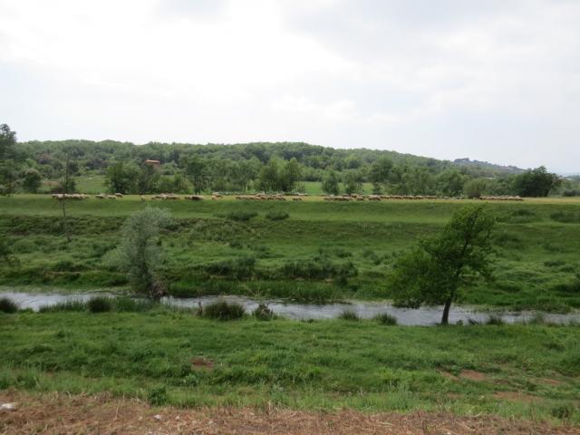 die Via Francigena del Sud verläuft nun alles dem Fluss/Kanal Amaseno entlang