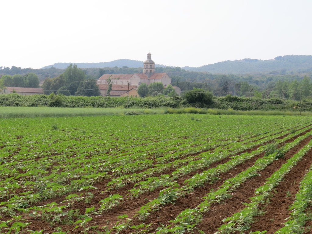 vor uns taucht die Abbazia di Fossanova auf, das von Franziskanermönche bewohnt wird