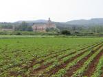 vor uns taucht die Abbazia di Fossanova auf, das von Franziskanermönche bewohnt wird