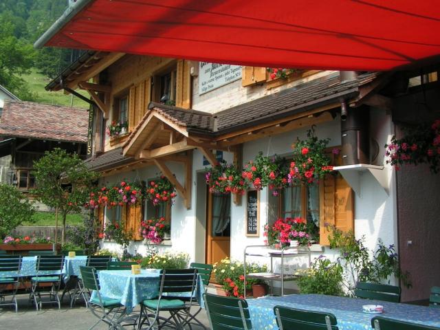 wunderschön die vielen Blumen