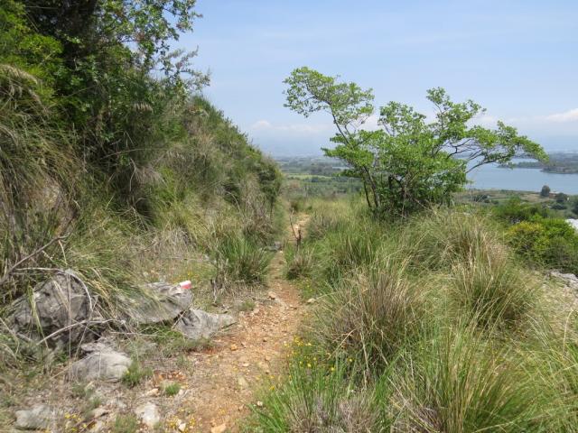 was für ein schöner Wanderweg!