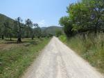 schnurgerade führt die Via Appia Antica, hier noch als Kiesweg, zum kleinen Pass von Sant'Andrea