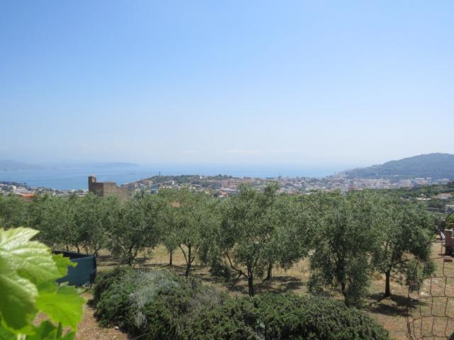 von einem Olivenhain aus, blicken wir hinunter nach Gaeta