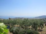 von einem Olivenhain aus, blicken wir hinunter nach Gaeta