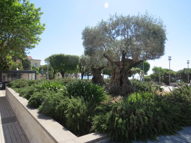 ...und fahren nach Formia das am Golf von Gaeta liegt