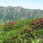 zurück zur Lidernen Hütte