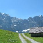 Alpenkranz Uri Teil 3 Bürglen-Chinzig Chulm-Klausenpass-Brunnital-Unterschächen 13.7. - 15.7.2005