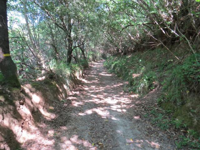 bevor wir Sessa Aurunca erreichen, geht es noch durch den Wald