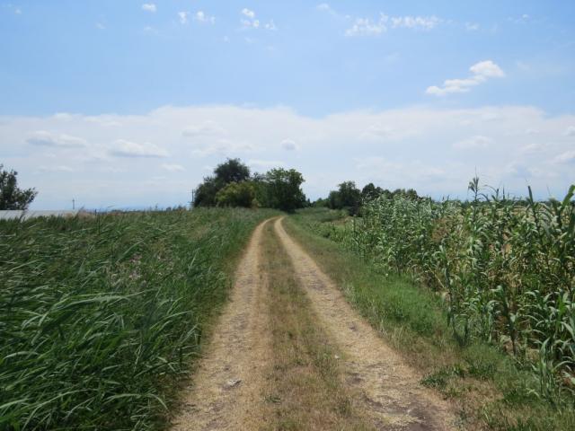 der Weg umgeht perfekt und durchgedacht die Hauptstrassen