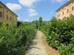 ein schöner Weg, führt uns aus Castel Maggiore