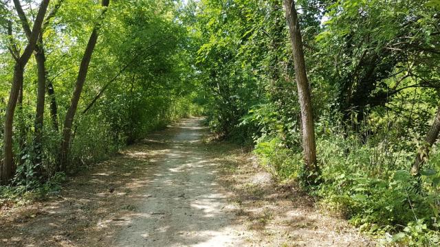 der schöne Wanderweg führt uns nun durch einen schönen Wald...