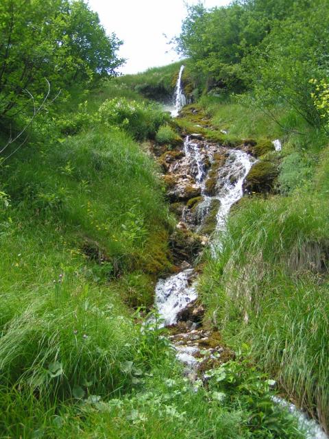 kleiner Bach