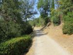 der Weg biegt in eine schöne strada bianca hinein