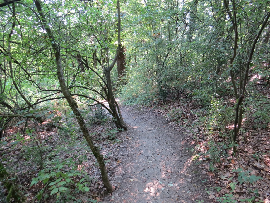 auf der ganzen heutigen Etappe, bewegen wir uns im Parco Regionale dei Gessi Bolognesi e Calanchi dell'Abbadessa