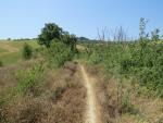 der Weg hinauf nach Montecalvo ist steil und schweisstreibend