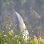 der Stäuben Wasserfall