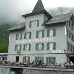 Hotel Klausenpasshöhe