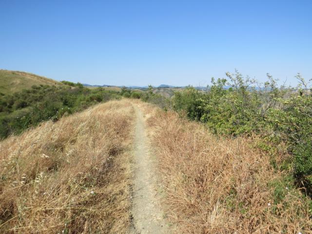 der Wanderweg ist immer gut ersichtlich. Die Markierungen sind aber spärlich vorhanden