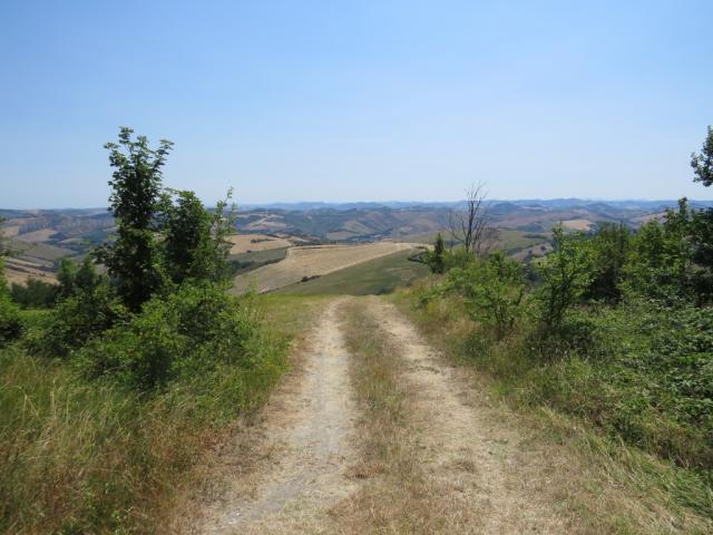 bei der Kirche Sant' Andrea, kurz vor dem kleinen Dorf Vedriano, biegt der Cammino rechts in die Felder.