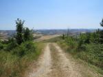 bei der Kirche Sant' Andrea, kurz vor dem kleinen Dorf Vedriano, biegt der Camino rechts in die Felder.