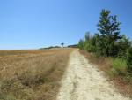 ...oder über eine strada bianca wandern wir nach der Kaffeepause weiter