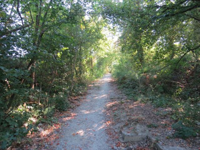 mit dem Auto fahren wir nach Borgo Tossignano. Über Nebenwege verlassen wir das kleine Dorf