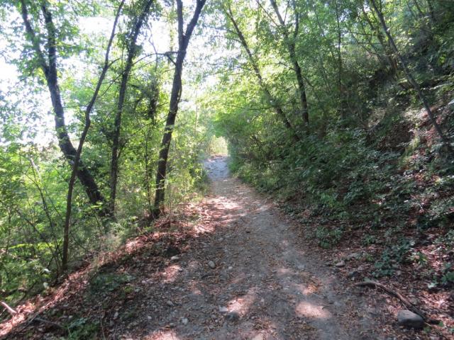 der Wanderweg führt uns nun immer wieder durch Wälder