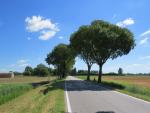 auf Nebenstrassen, laufen wir nun Richtung Marrara, das erste Dorf auf dem Weg