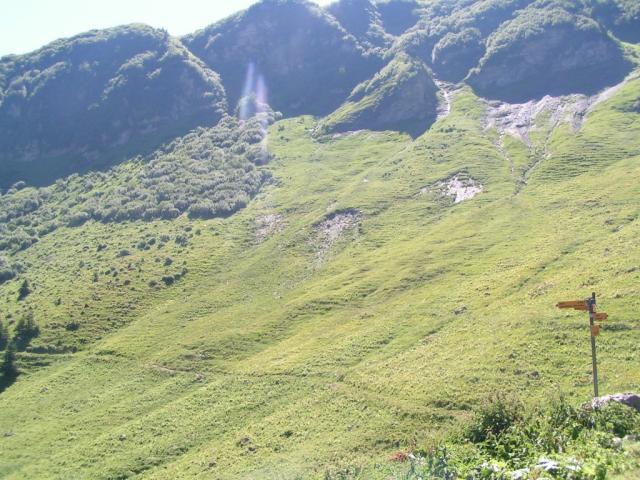 Alp Wannelen