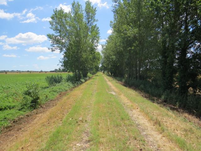 ...änderte der Po seinen Weg zum Meer. Der Po di Primaro wurde im 15.Jhr als Kanal mit dem Fluss Reno verbunden